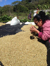 Jose Arnulfo Montiel, El Salvador - Filter