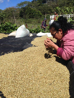 Jose Arnulfo Montiel, El Salvador - Filter