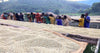 Bahire, Burundi - Filter