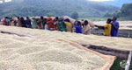 Bahire, Burundi - Filter