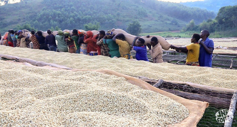 Bahire, Burundi - Filter