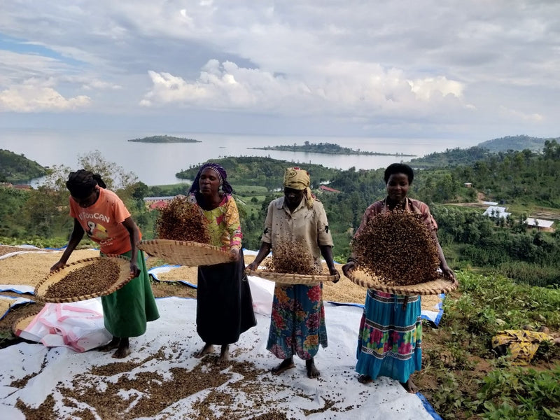 Bugoyi Patrick, Rwanda - Filter