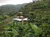 Bugoyi Patrick, Rwanda - Filter