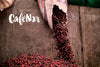 Jose Arnulfo Montiel, El Salvador - Filter