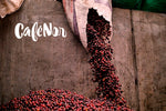Jose Arnulfo Montiel, El Salvador - Filter