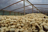 DECAF Colombia Excelso -  Espresso Roast