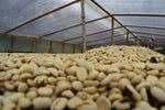 DECAF Colombia Excelso -  Espresso Roast