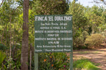 Ventura Family, Guatemala - Espresso