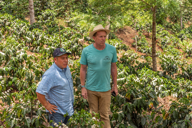 Ventura Family, Guatemala - Espresso