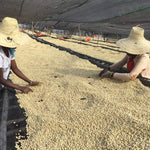 Kuri Mountain, Ethiopia - Espresso