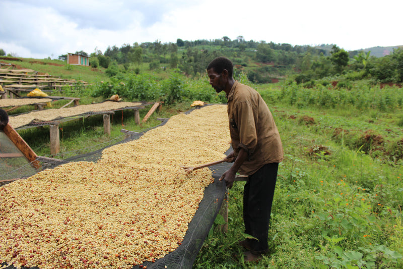 Masha, Burundi - Filter