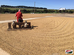 DECAF Happy Capybara, Brazil  Espresso Roast