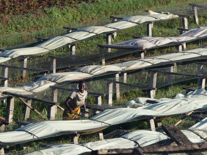 Masha, Burundi - Filter