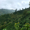 San Agustin, Colombia - Filter
