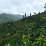 San Agustin, Colombia - Filter