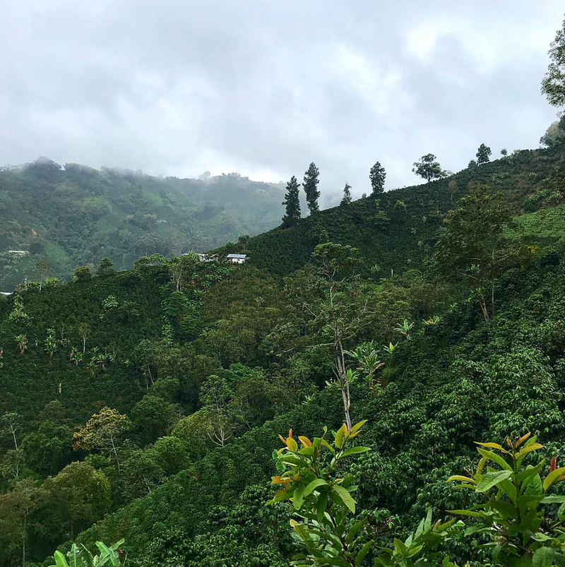 San Agustin, Colombia - Filter