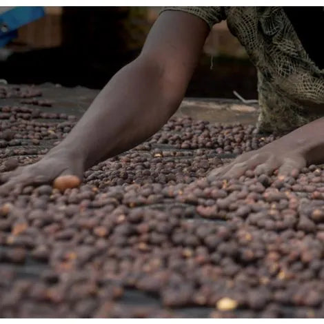 Lugendo, DR Congo - Espresso