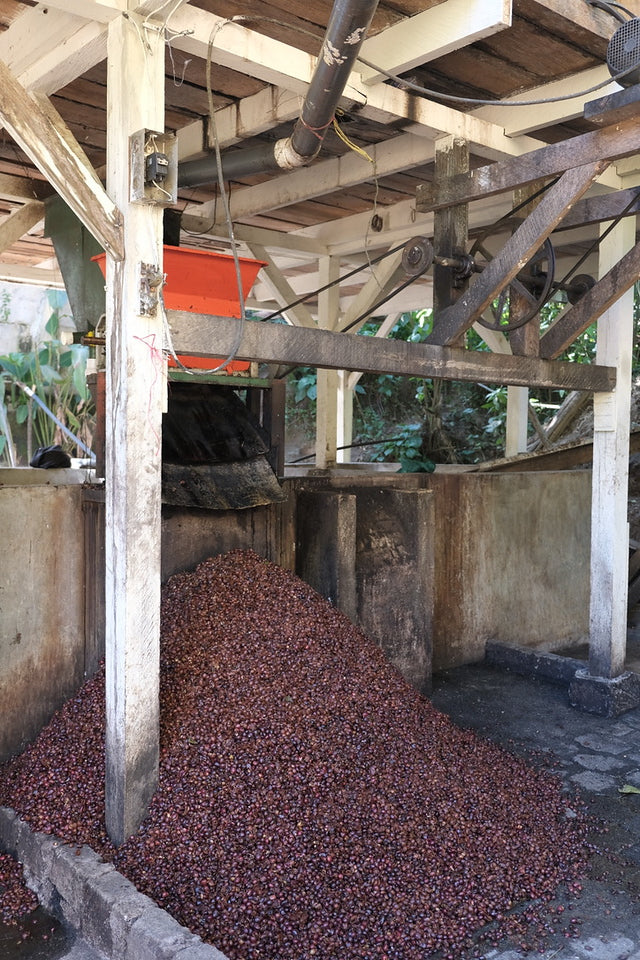 La Esperanza, Nicaragua — Filter Roast