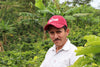 Gesha, Luis Anibal Calderon, Colombia — Filter Roast